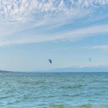 Conchiglia Barrabisa