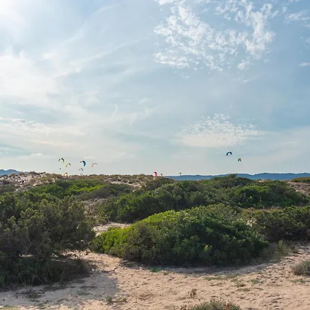 Conchiglia * Barrabisa