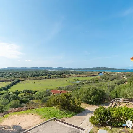 Conchiglia Barrabisa